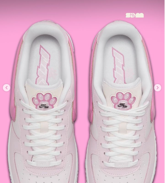 Nike faz tênis inspirado em amantes de pets 1 Captura de tela 2024 07 05 204434